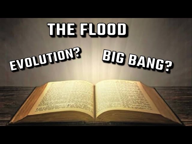 Does the Bible Contradict Reality? Debate with Creationist