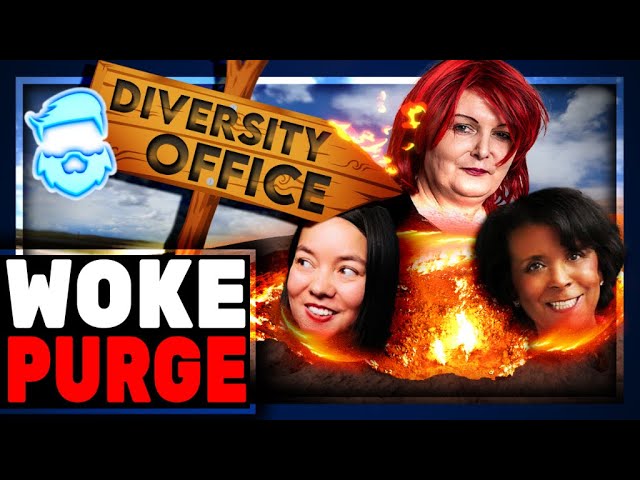 Woke Diversity Chiefs FIRED From Every Major Company! The Grift Is Over Netflix, Warner, Uber & More