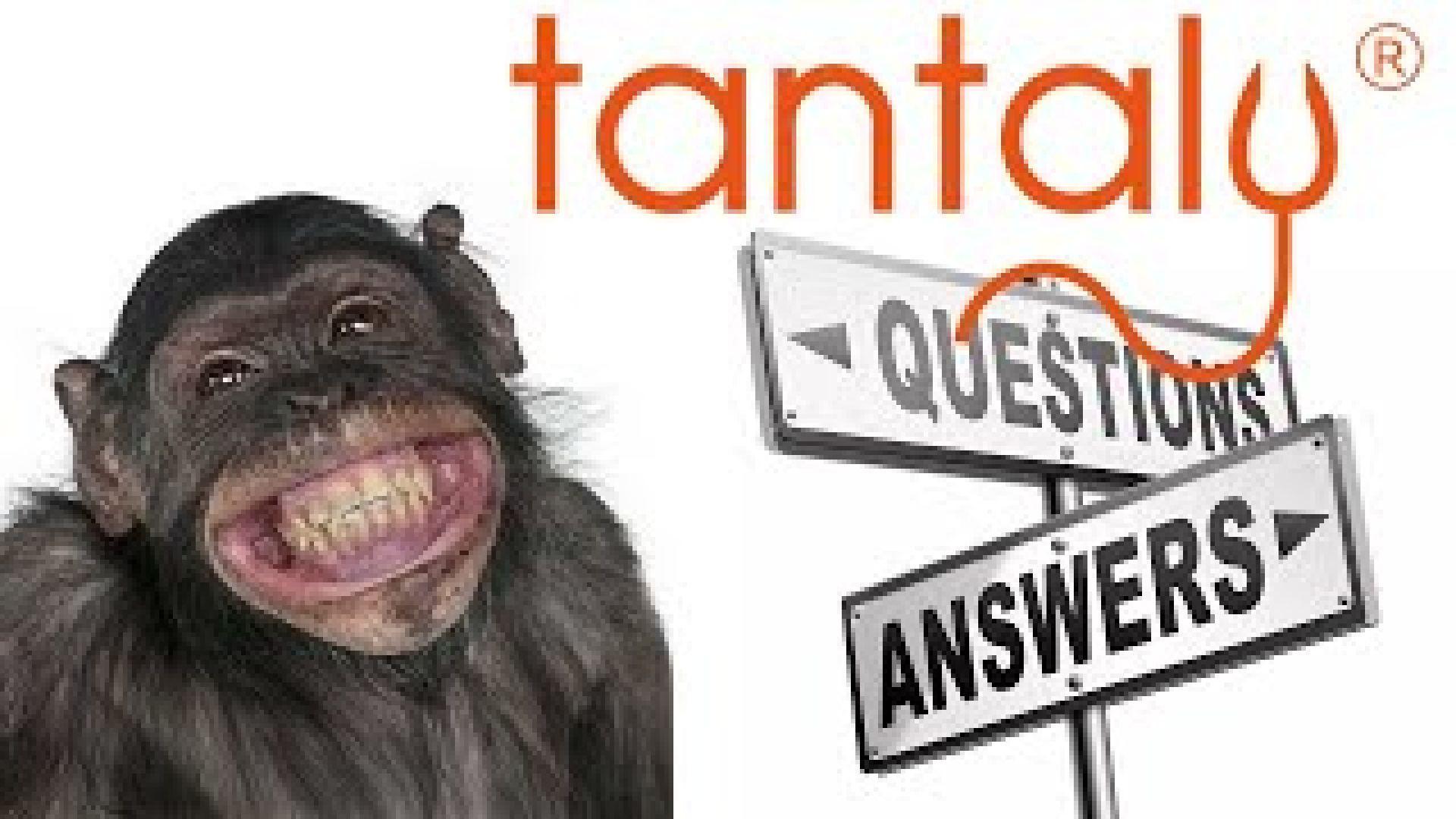 Tantaly Questions and Answers (Sponsored)