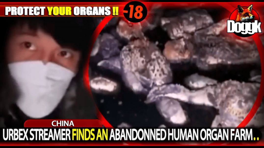 [+18] URBEX STREAMER FINDS AN ABANDONNED HUMAN ORGAN FARM.. (CHINA)