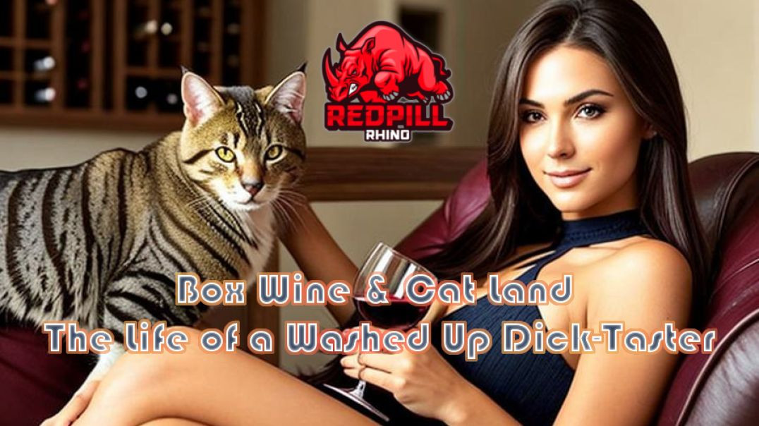 Box Wine & Cat Land: The Life of a Washed Up Dick-Taster