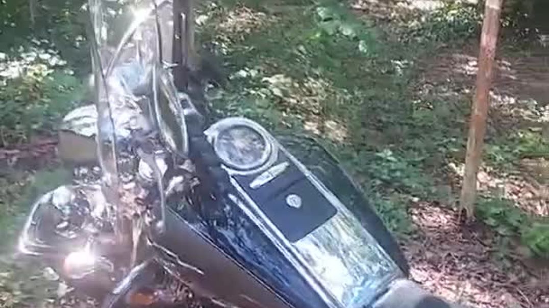 just bought a hog!!!! (Mgtow Bandit)