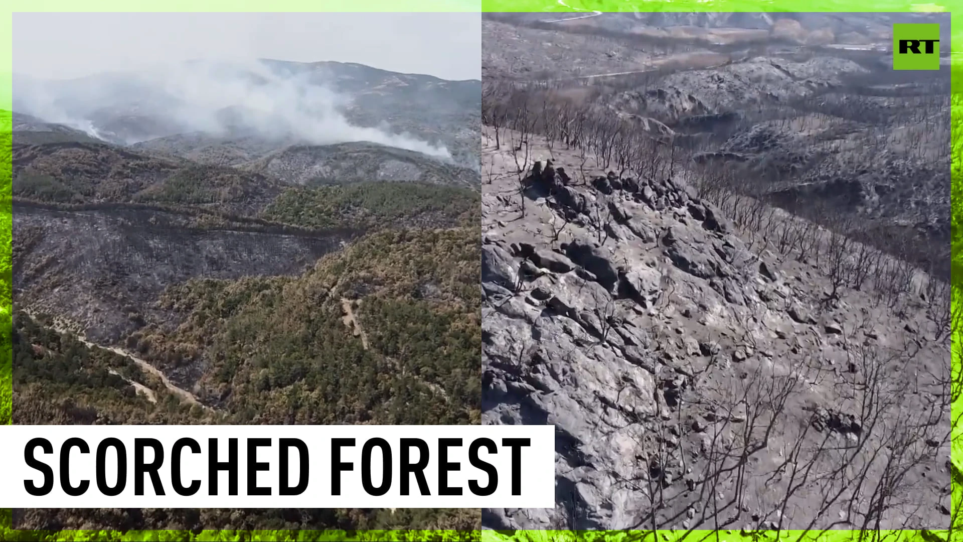 Scale of devastation caused by wildfires in Greek national park