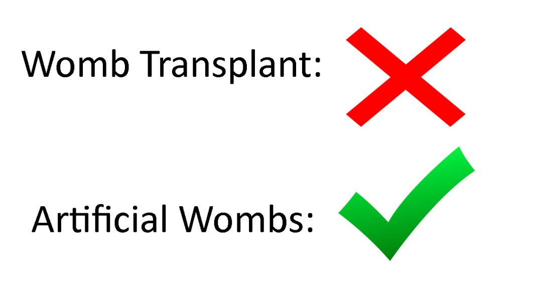 My thoughts on womb transplants and why they are a bad idea