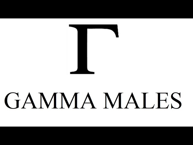 Gamma Males - Single Subject Experts