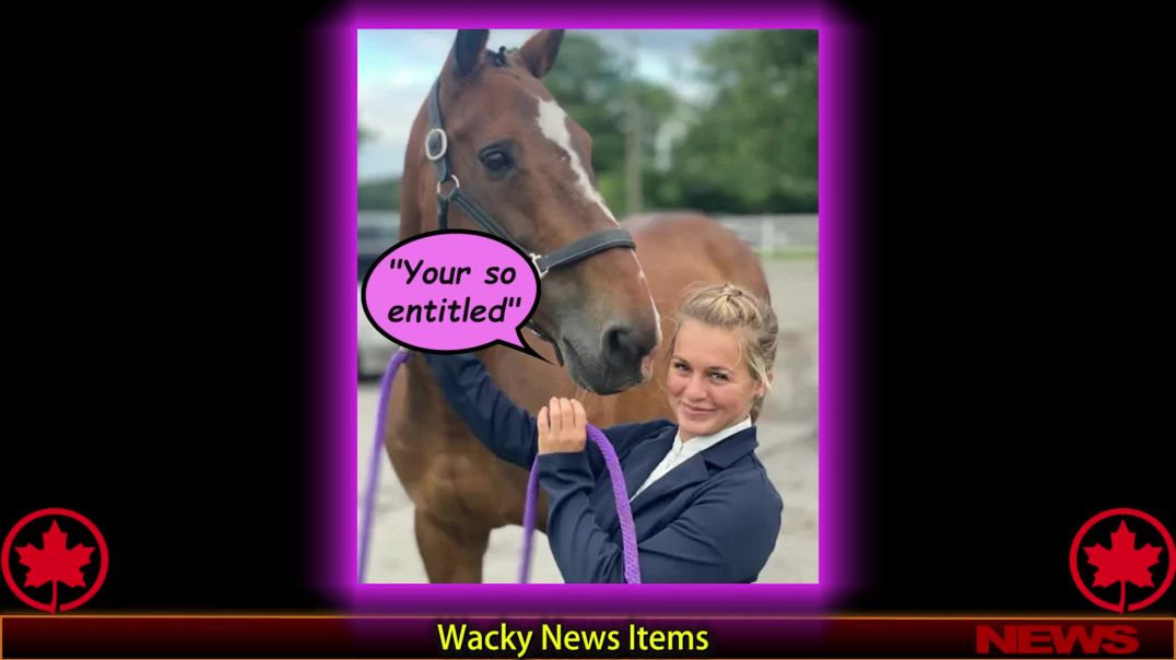 Wacky News Items