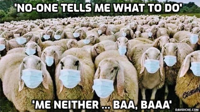 Secret Letter To The CDC - David Icke