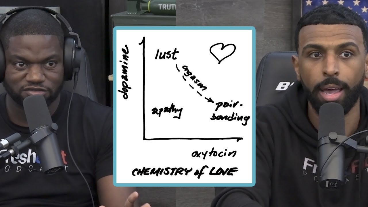 The Neurochemistry Of Promiscuity And The Cycle Of Highs And Lows