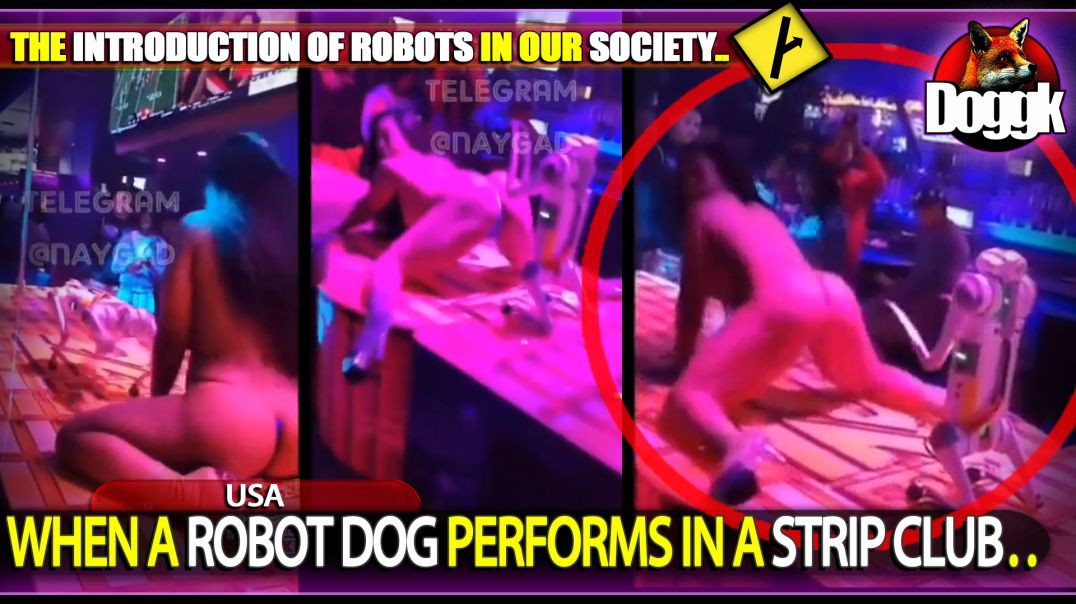 WHEN A ROBOT DOG PERFORMS IN A STRIP CLUB.. (USA)