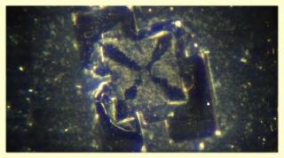 NANOTECHNOLOGY FOUND IN BOTH VAXXED AND UN-VAXXED
