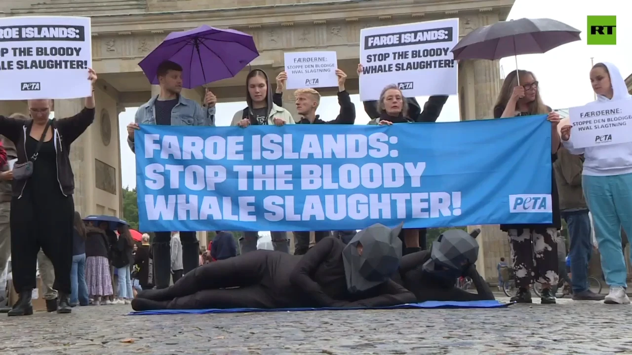 PETA activists protest over Faroe Islands pilot whale hunt