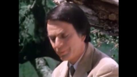 Quem Pode Salvar a Terra? | Cosmos - Episódio 13 | por Carl Sagan