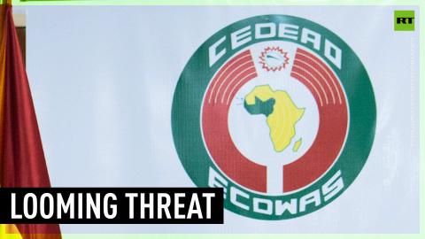 Algeria opposes intervention in Niger