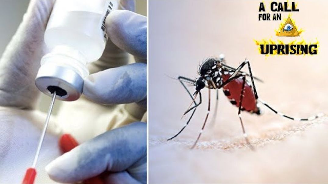 GMO MOSQUITO'S BEING USED AS WAY TO V-A-C-C-l-N-A-T-E!