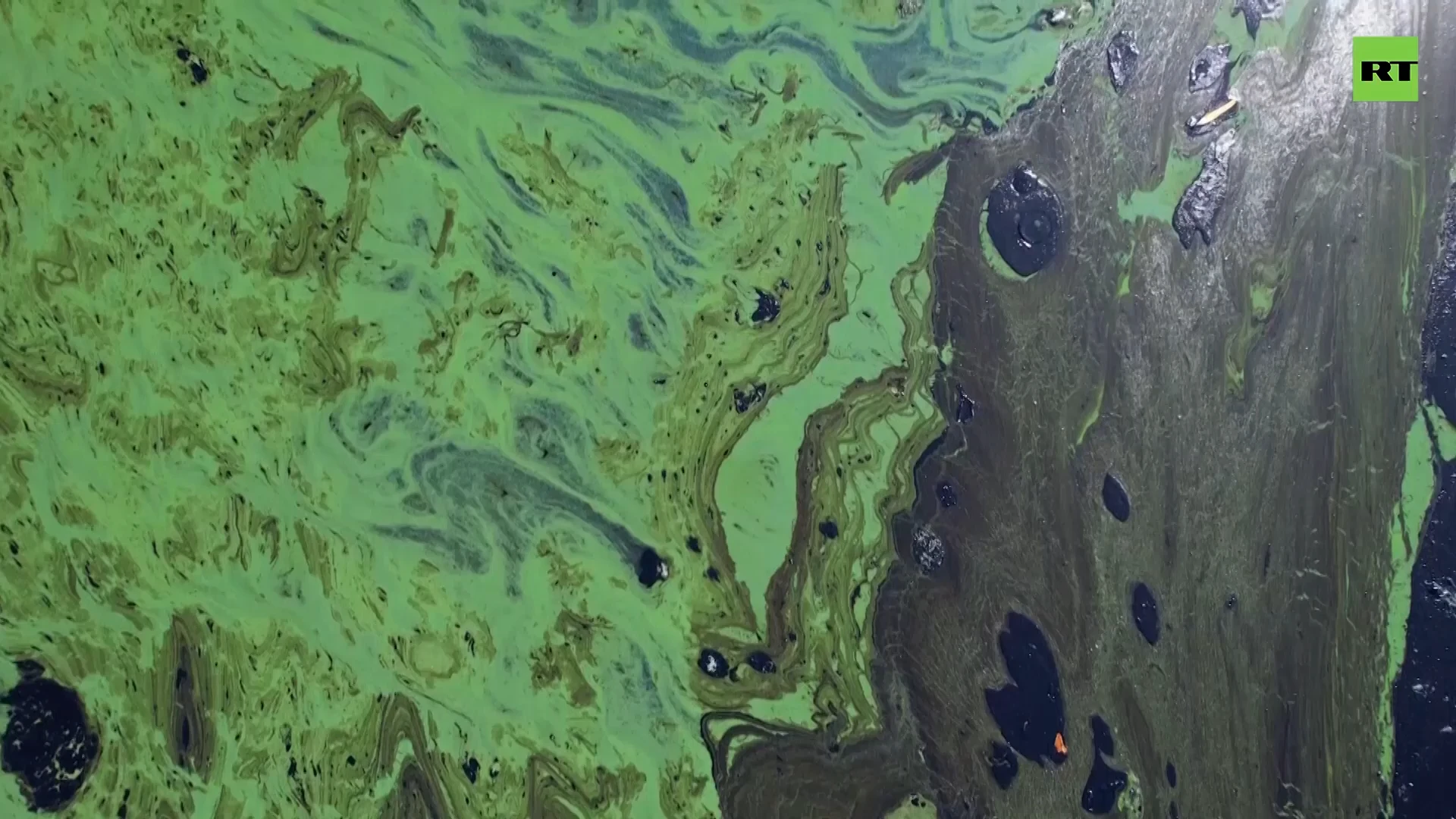 Venezuela's largest lake turns toxic green