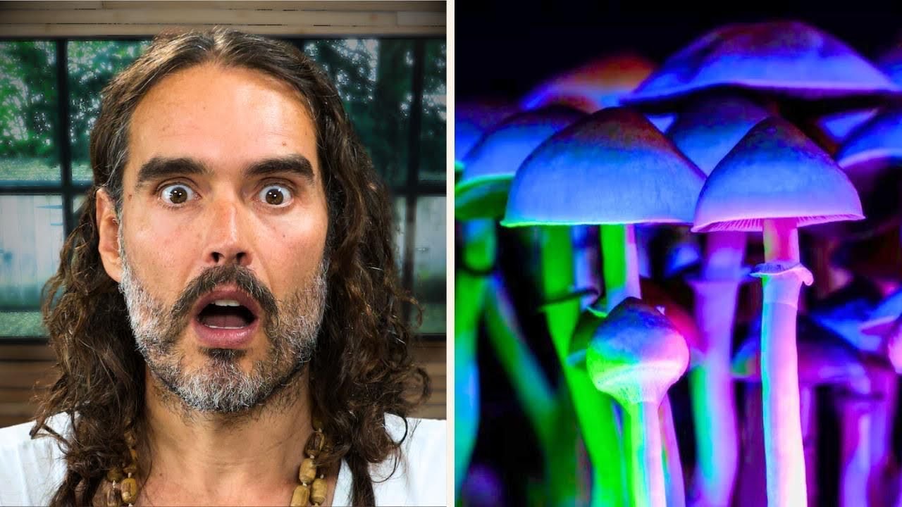 The REAL Reason They'll Legalise Psychedelics (you won't like it)