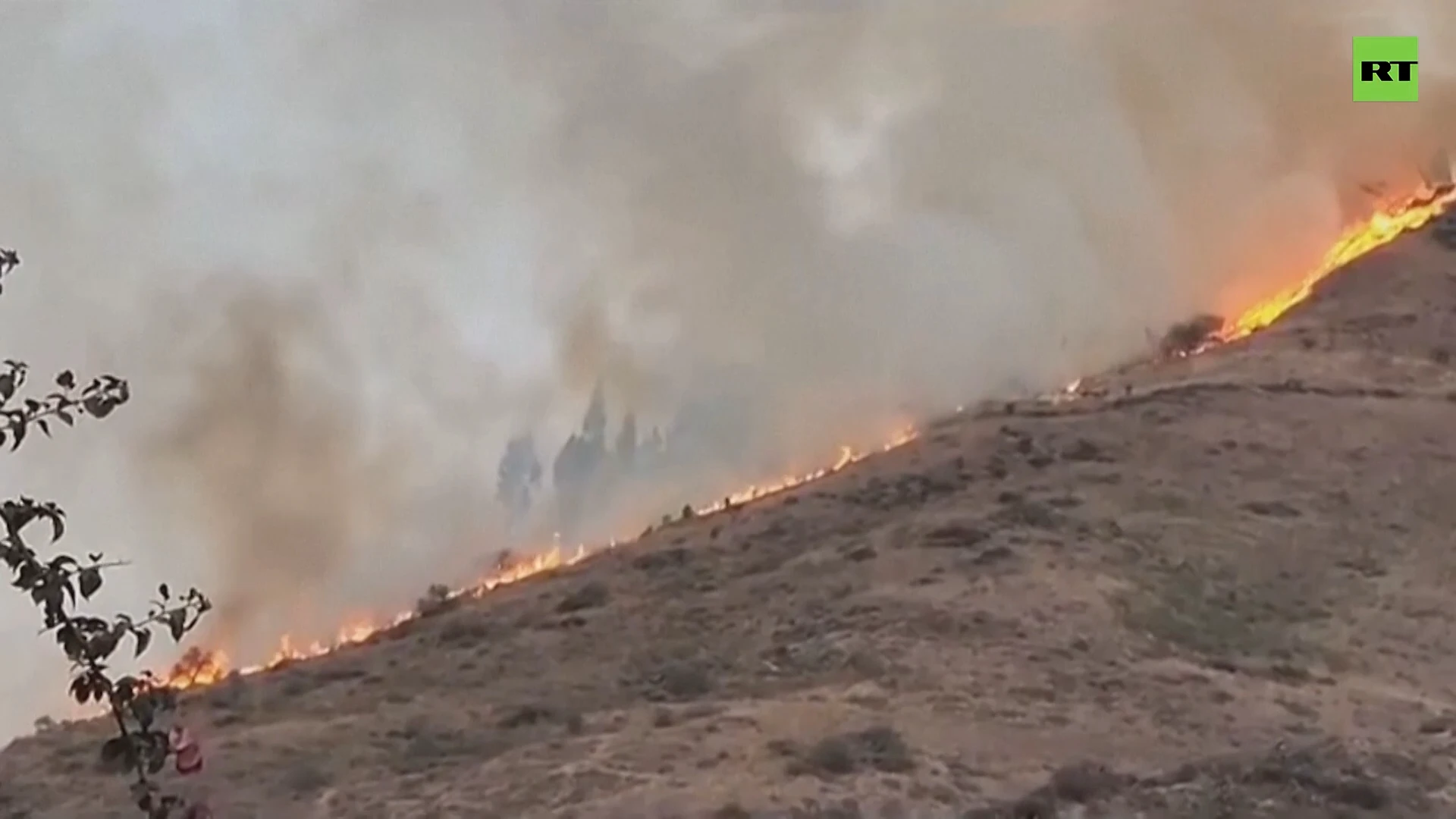 Several dead and injured from forest fire in southern Peru