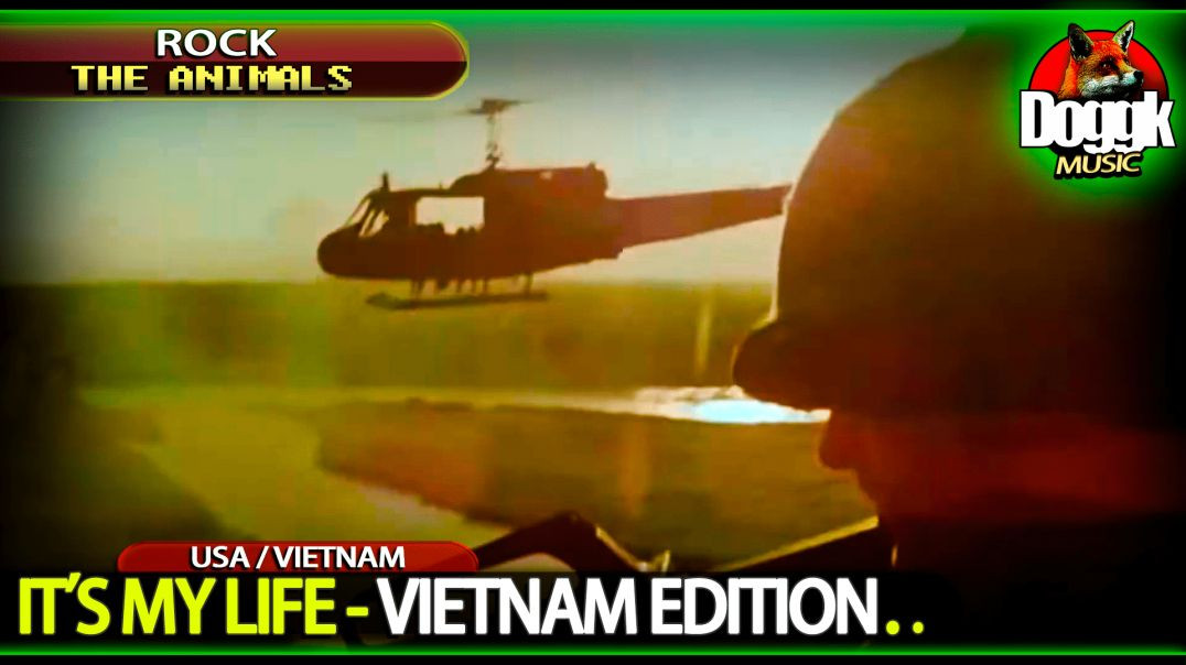 ▶ THE ANIMALS - IT'S MY LIFE (VIETNAM EDITION) + NICE CLIP NOT TO MISS !!