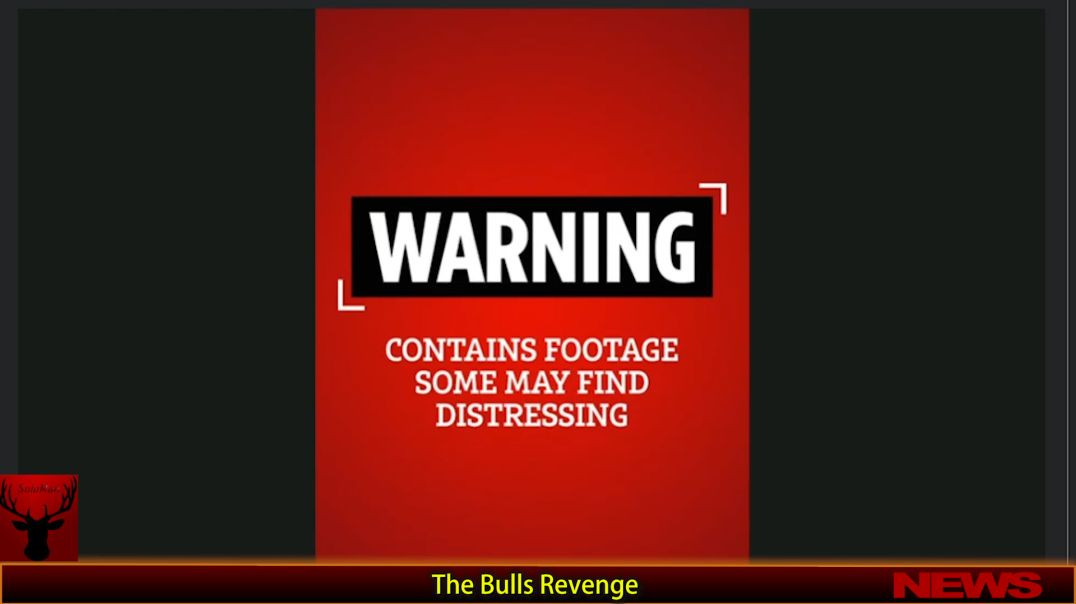 The Bulls Revenge