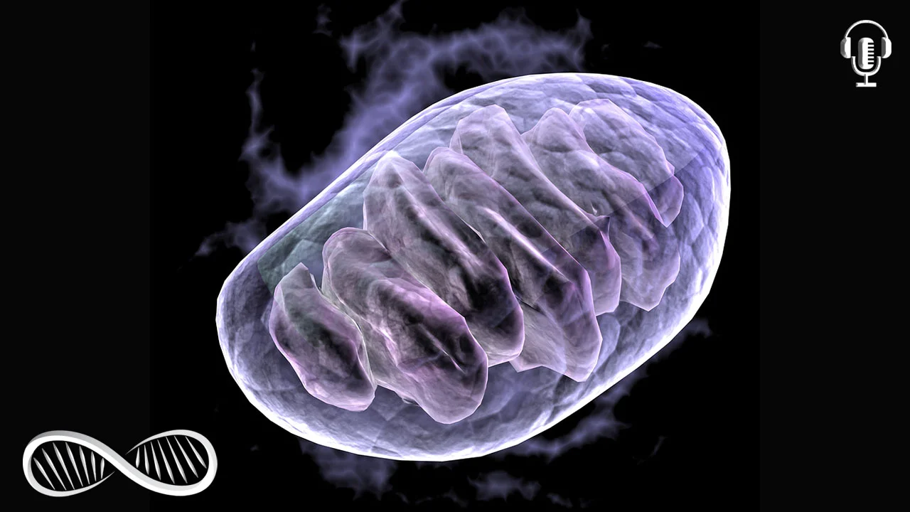 33 new things we've learned about Mitochondria ? Hacking health at its foundational level