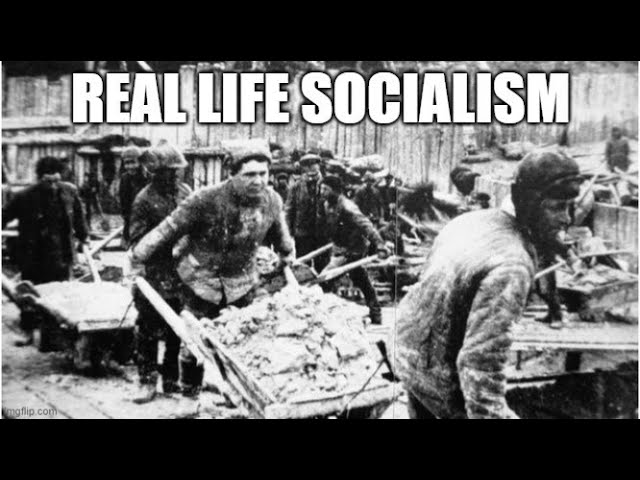 Real Life Socialism