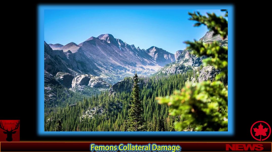 Femons Collateral Damage