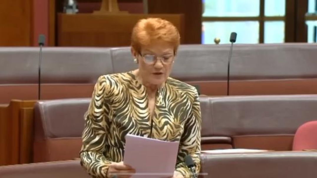 Pauline Hanson calls out the corrupt 'Yes' campaign.