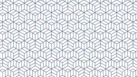 "A aparência não é tudo." Porque as mulheres precisam de necessidades básicas.