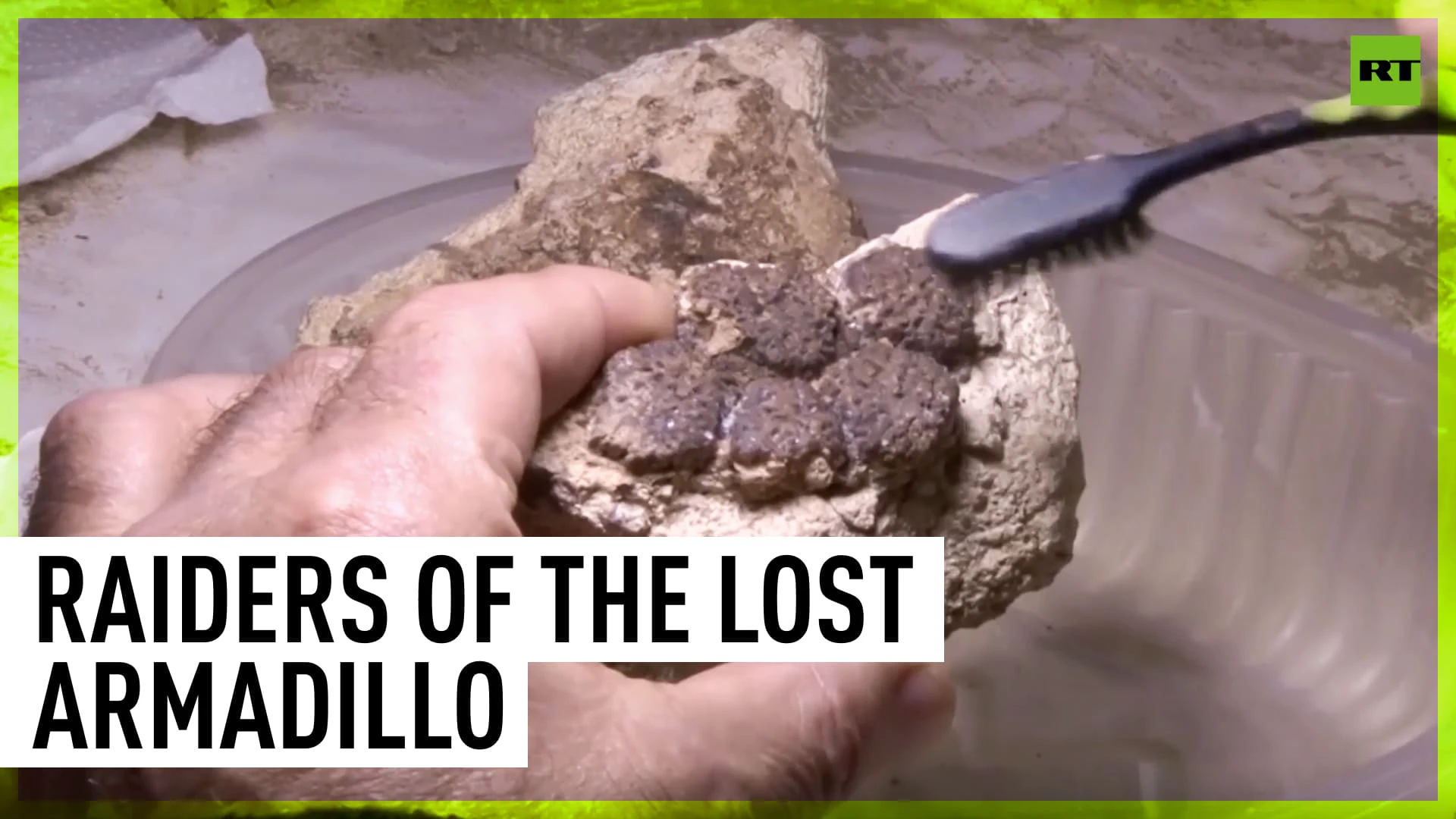 Family unearths remains of ancient armored creature in Argentina