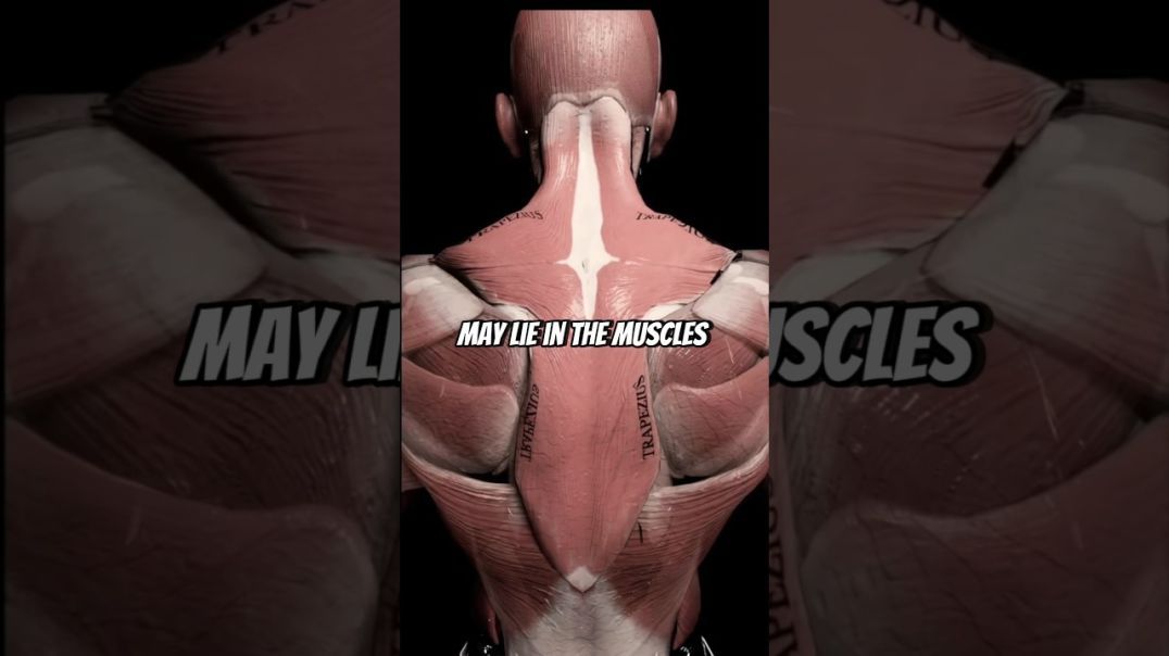 The Secret To Fixing Shoulder Pain?