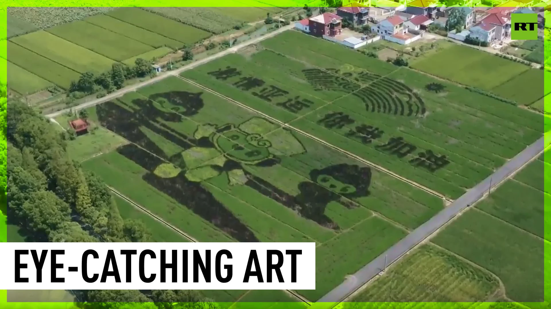 Chinese farmers pay paddy art tribute to 19th Asian Games