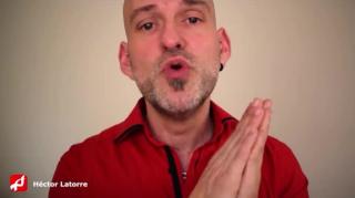 el Alimoche en acción