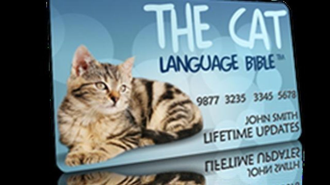 Unlocking Feline Conversations: Introducing the Brand New Cat Language Bible (TM)