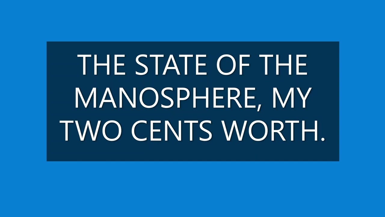 THE STATE OF THE MANOSPHERE, MY TWO CENTS WORTH