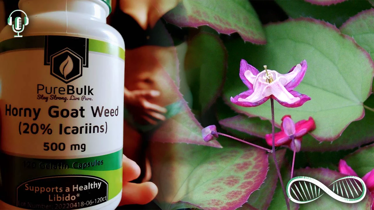 Horny Goat Weed ? the Sexual Performance Enhancer and Hormone Biohack for Him and Her!