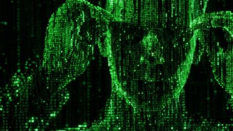 Programador ou programado?