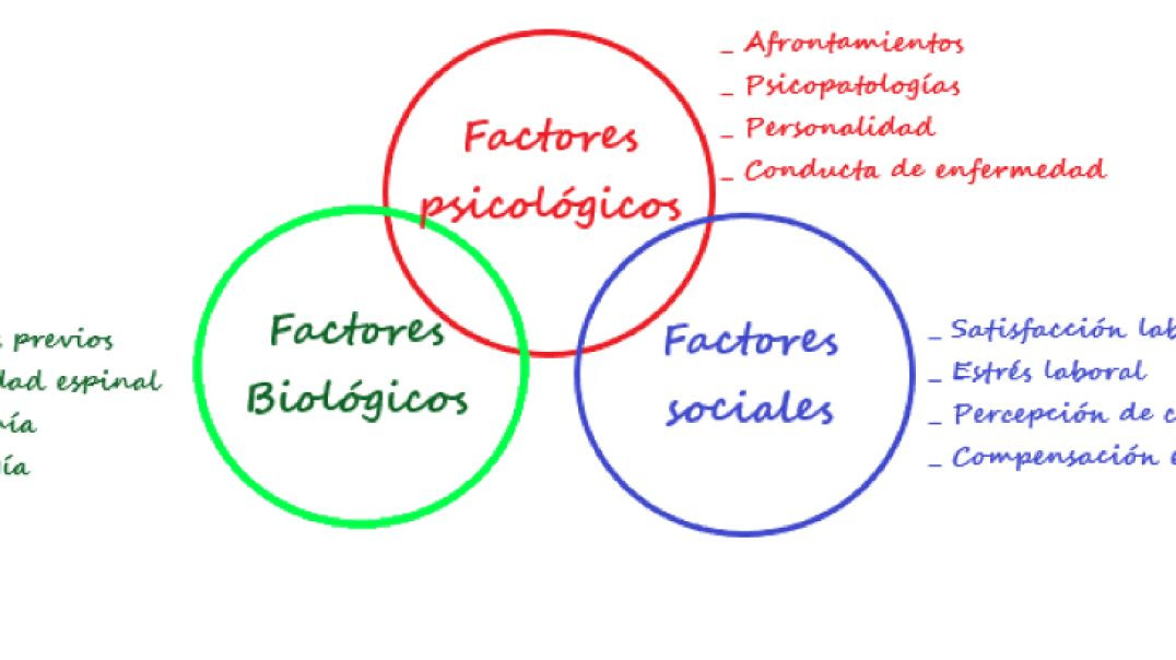 A BANALIZAÇÃO DO TERMO BIOPSICOSSOCIAL!