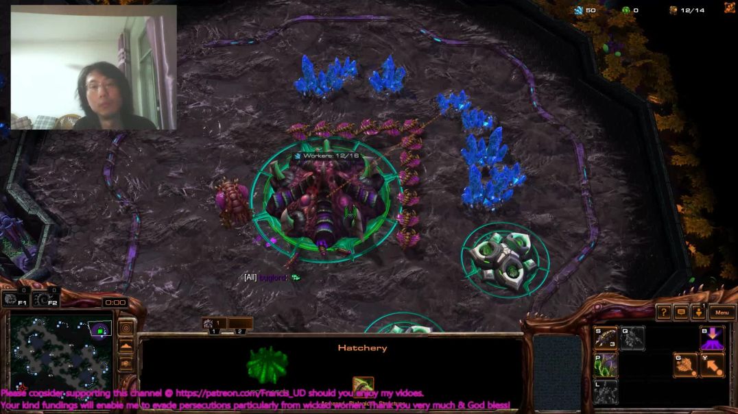 starcraft2 zvp two noobs fighting for mmr points on hecate
