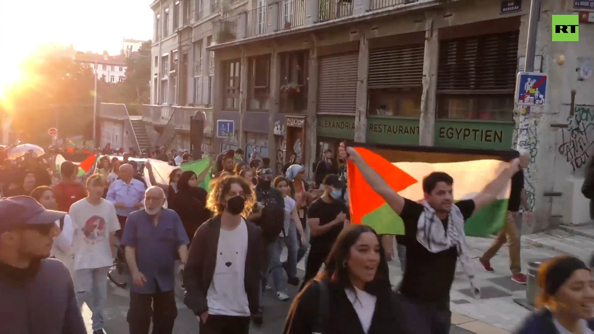 Pro-Palestinian demonstrators hit by tear gas in Lyon clashes