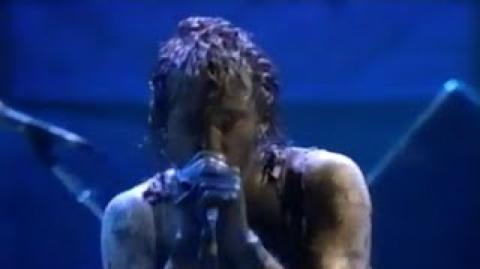 Nine Inch Nails - Head Like A Hole - Woodstock - 1994