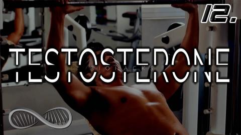 7 High Testosterone Hacks [12/33] Steps to Sexual Sovereignty