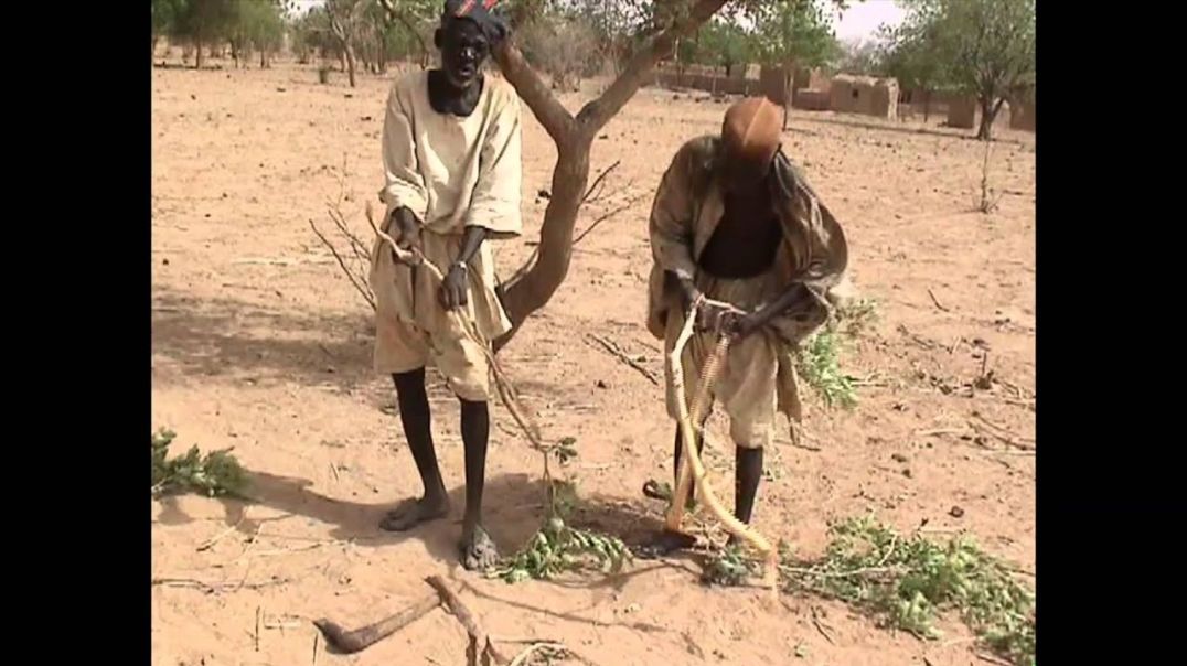 Smelting Iron in Africa (A DEMONSTRATION)