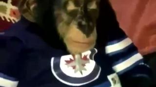 ME CHILLING WITH TFM IN THE NEAR FUTURE