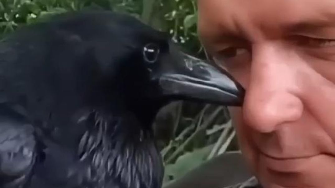 The Crow and the Kind Man