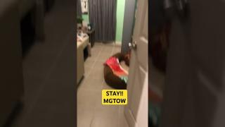 Seek the opportunity! Stay MGTOW