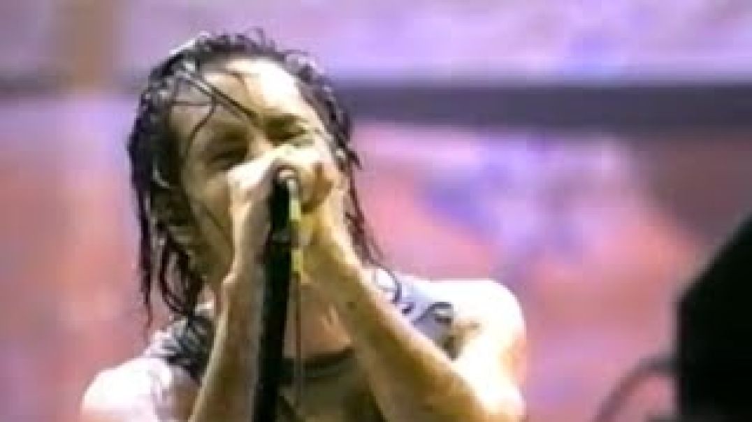 Nine Inch Nails - Closer - Woodstock - 1994