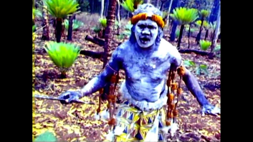 Yothu Yindi - Tribal Voice