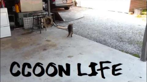 Validação Externa Interna