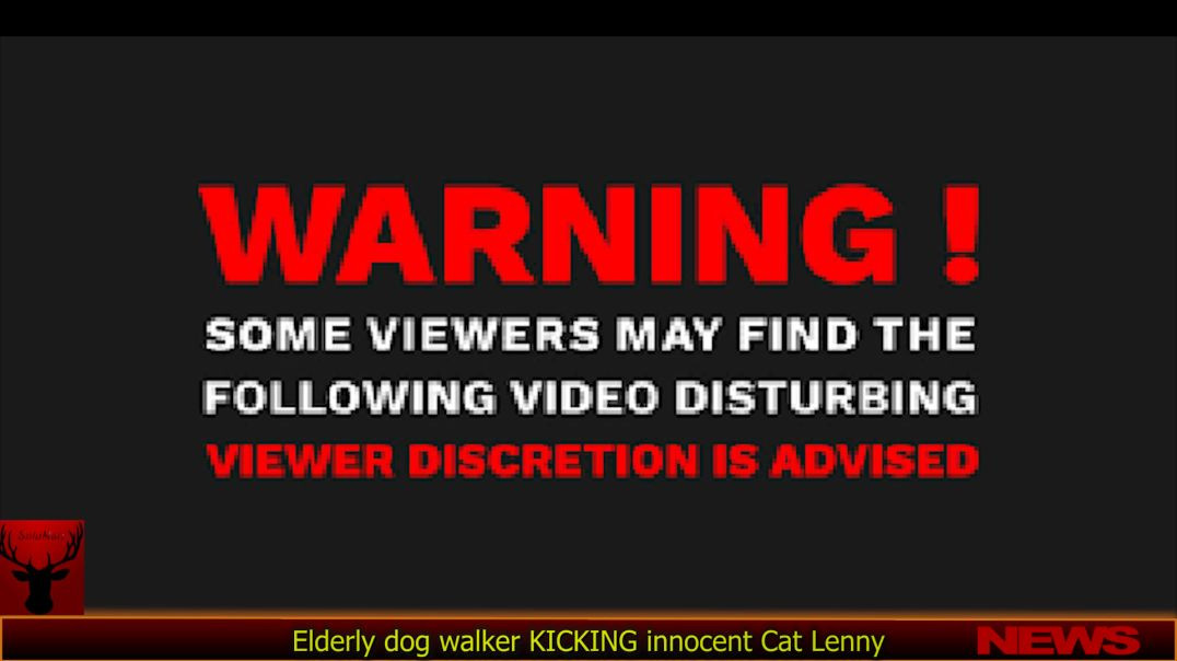 Elderly dog walker KICKING innocent Cat Lenny