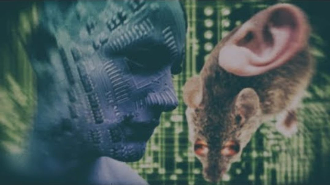 HUMANITY REPLACED BY AI ROBOTS AND HUMAN ANIMAL HYBRIDS